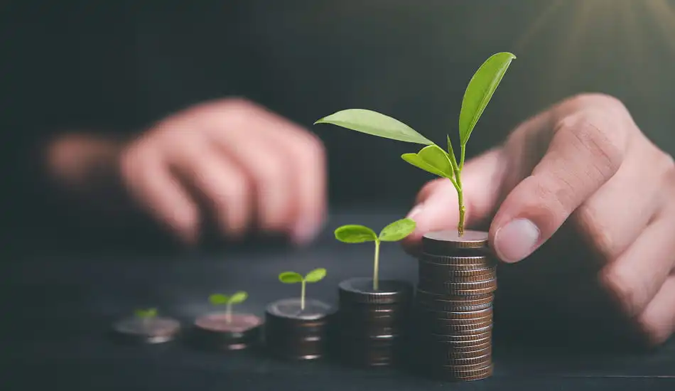 investissement dans la création d’un logo et d’une identité visuelle pour une entreprise