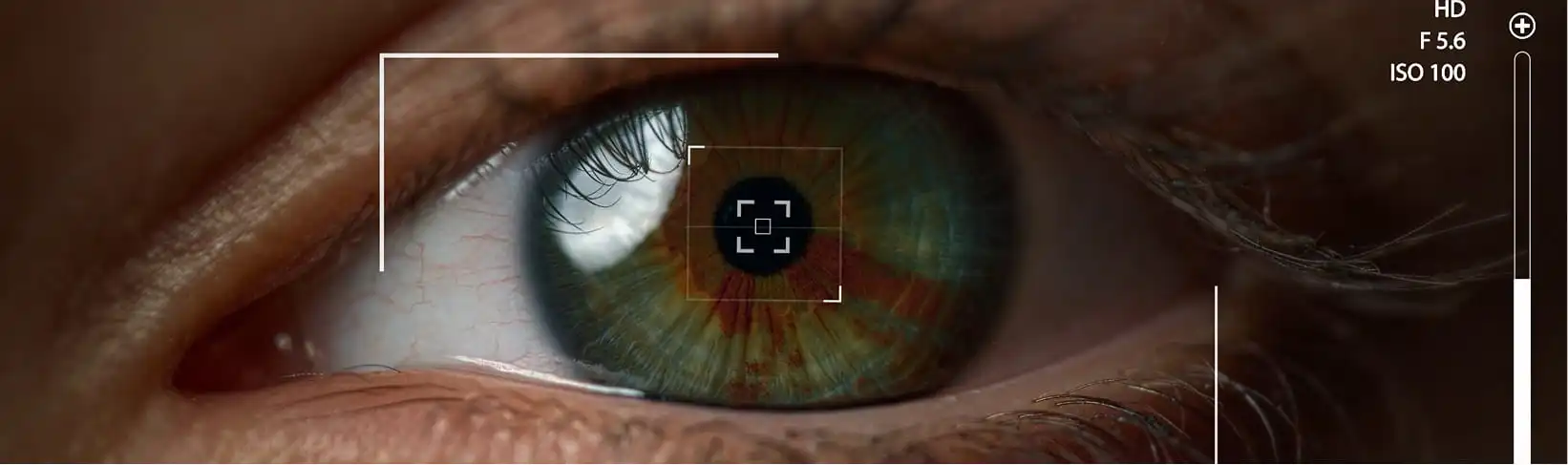 perception visuelle et impact du design sur le regard client