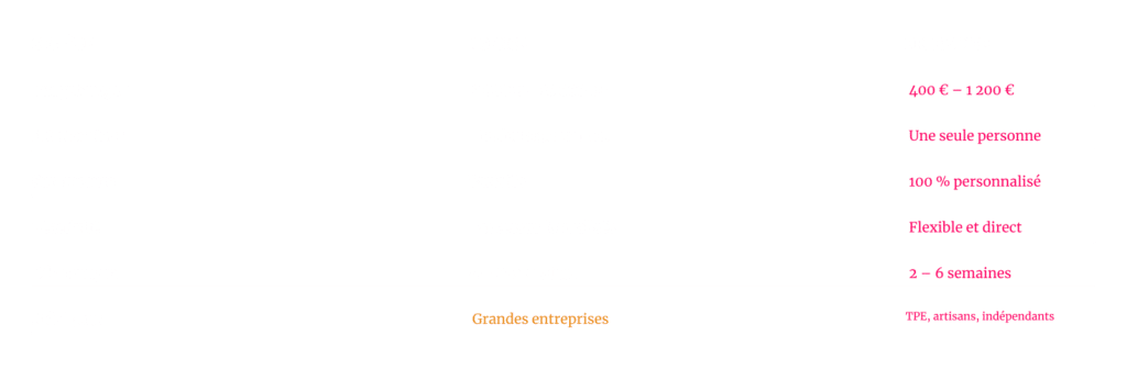 tableau récapitulatif des avantages entre graphiste freelance et agence de communication