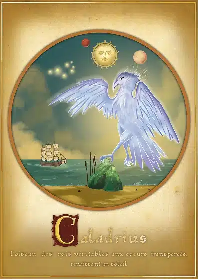 Illustration du Caladrius créée pour enrichir l'univers visuel de la marque Elganaur.