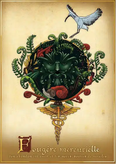 Illustration Fougère mercurielle conçue pour enrichir l'identité visuelle d'Elganaur.